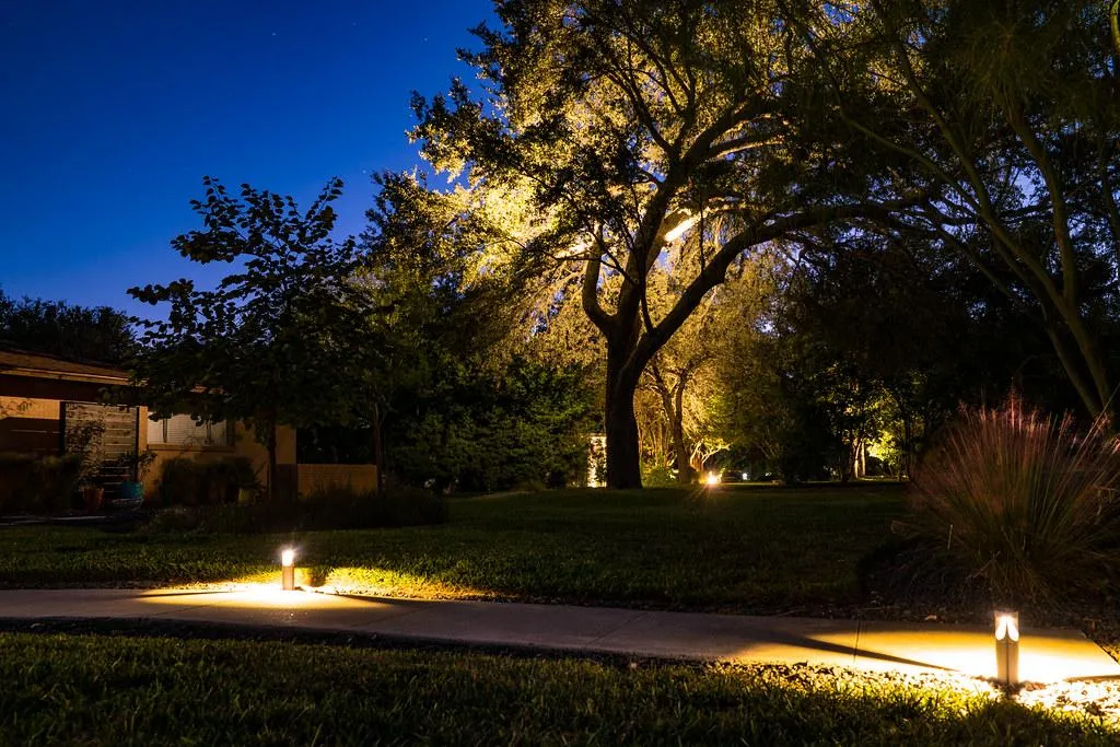 Path lighting and tree uplighting at dusk