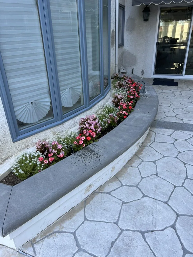 Flowers in a curved raised bed